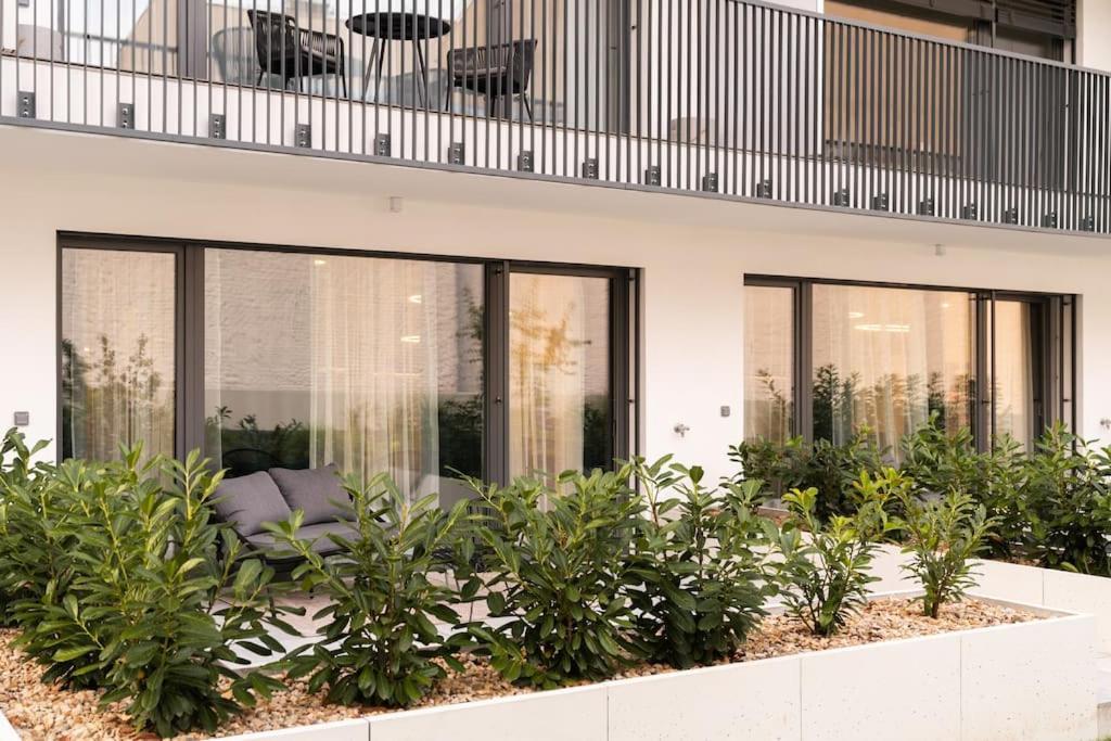 Green Garden Sauna Apartment 브르노 외부 사진